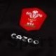 Maglia Galles WRU Alternate Cotton Replica  Rugby-bambino 2021/22