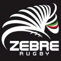 ZEBRE Rugby