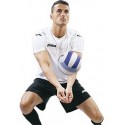 Volley