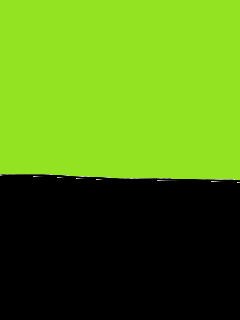 LIME PUNCH-BLACK