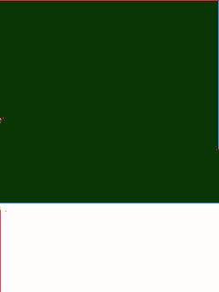 GREEN MEDIUM/WHITE