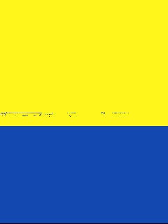 YELLOW/ROYAL