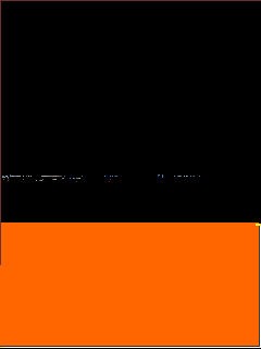 BLACK/ORANGE FLUOR