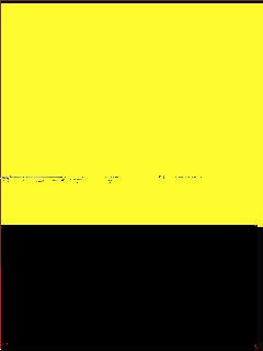 YELLOW/BLACK