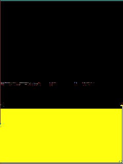 BLACK/YELLOW FLUOR